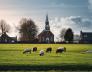 Wadden Oplaad Workshops: Ruimte voor verstilling